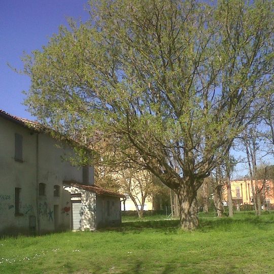 Museo della Frutticoltura "Adolfo Bonvicini"