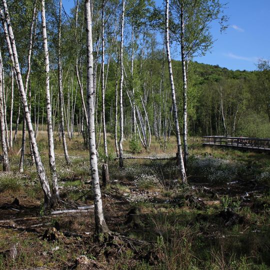 Teufelsseemoor Köpenick