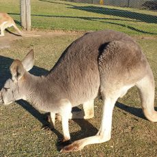 Hunter Valley Wildlife Park