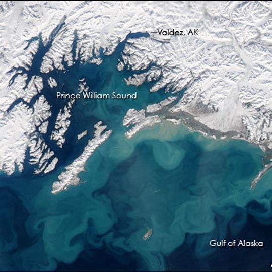 Gulf of Alaska