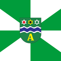Apiúna