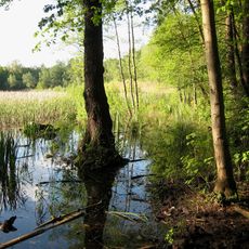 Fauler See