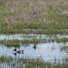 Ridgefield National Wildlife Refuge