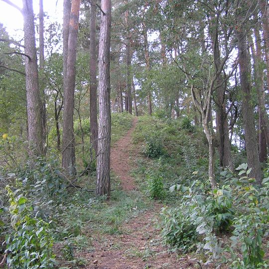 Diauderių piliakalnis