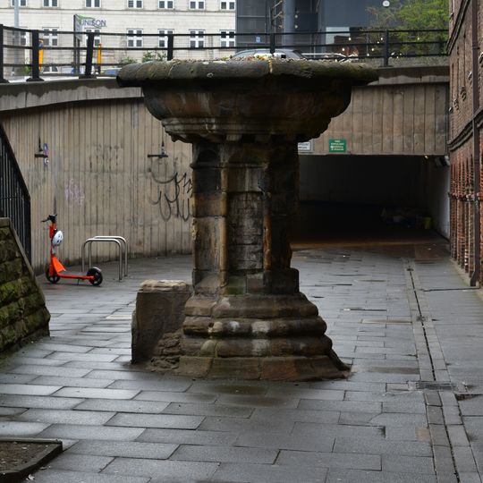 Pant In Front Of The John George Joicey Museum