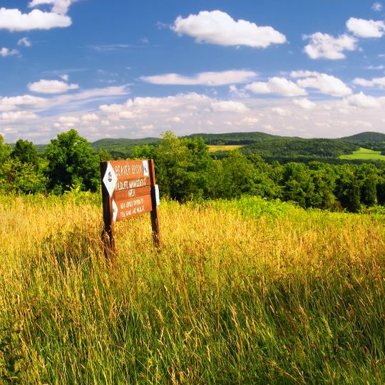 White Township