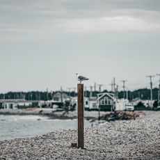 East Horseneck Beach