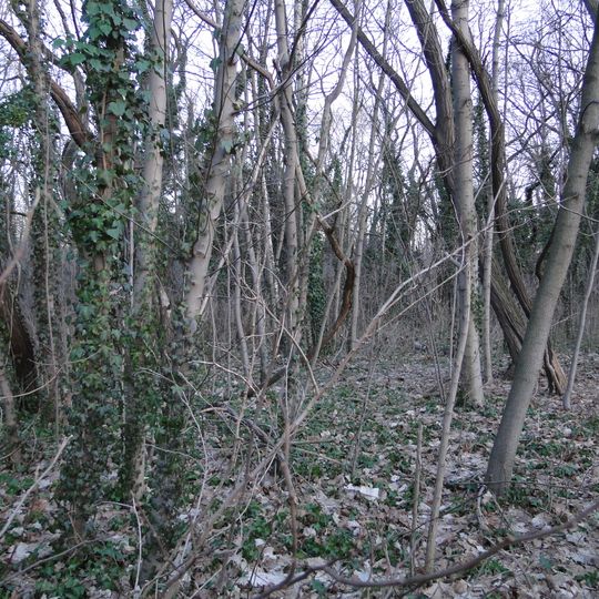 Judenlager Hellerberge