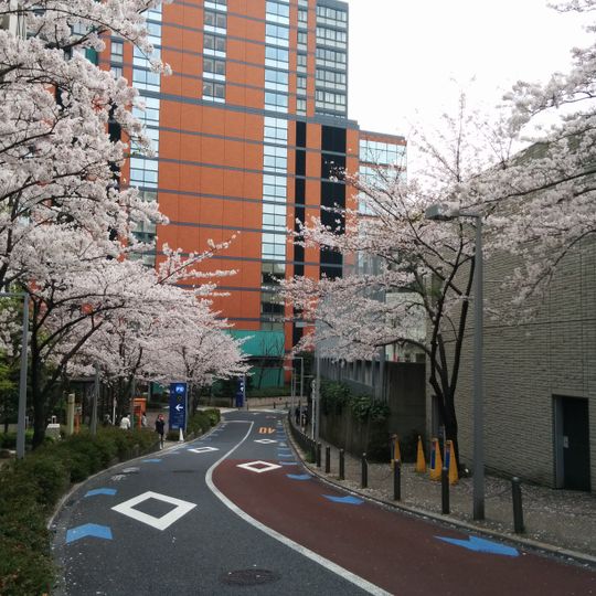 Roppongi Sakurazaka