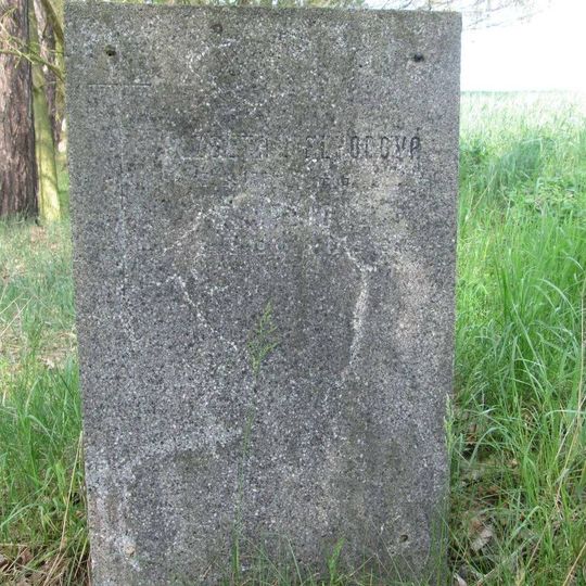 Pomník západně od Nevřeně