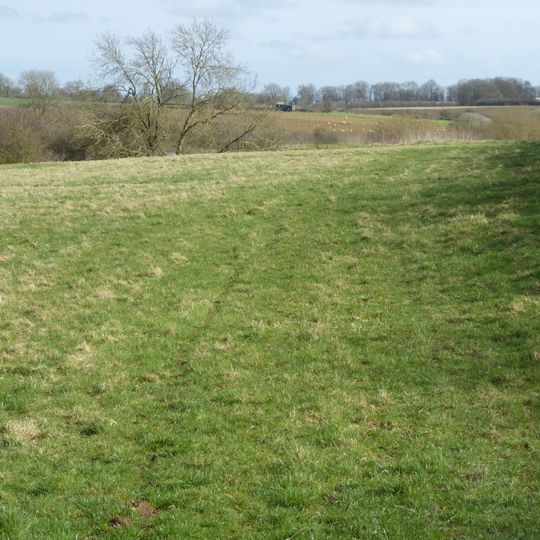Bosworth Mill Meadow