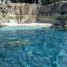 El acuario de arrecife