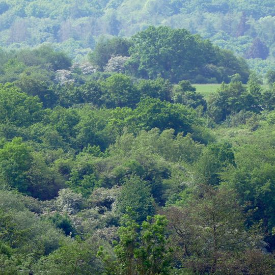 Würzberg bei Garbenheim