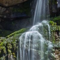 district régional d'East Kootenay