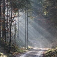 Inschutznahme des Gebietes Mühlau-Schöffau als LSG