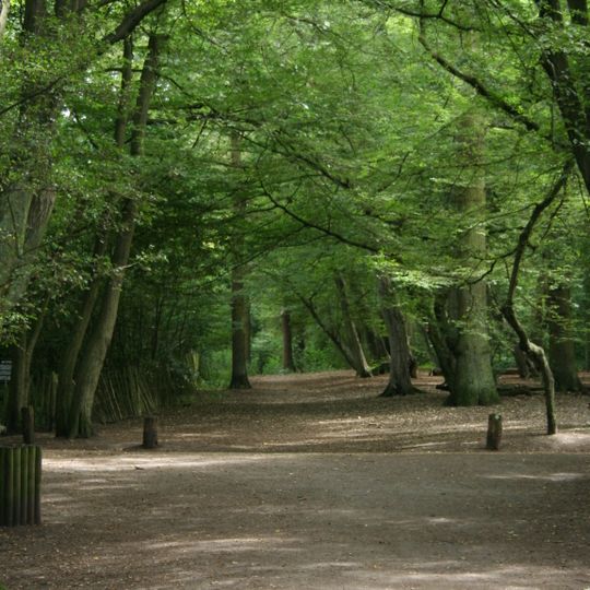 Highgate Wood