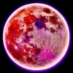 theotedskythenumber21