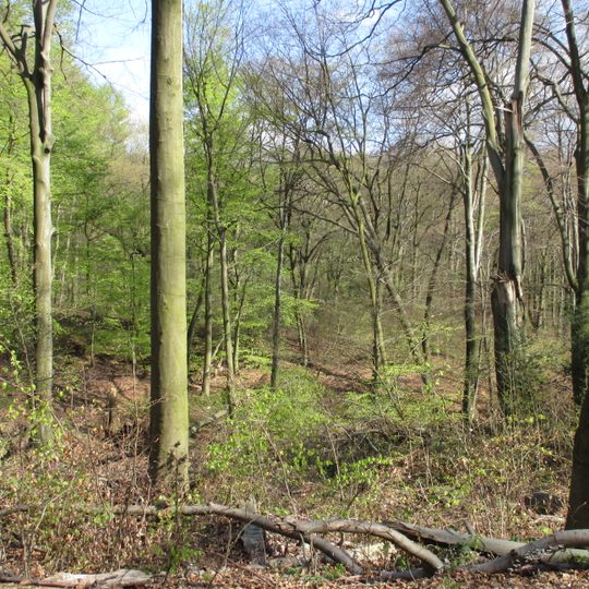 Waldgebiet am Kaiserberg, "Schnabelhuck", "Ehrenfriedhof", "Marienborn"