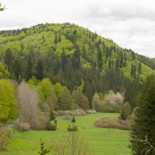Täler und Rodungsinseln im Frankenwald mit Geroldsgrüner Forst