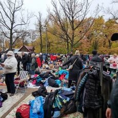 Удельный рынок