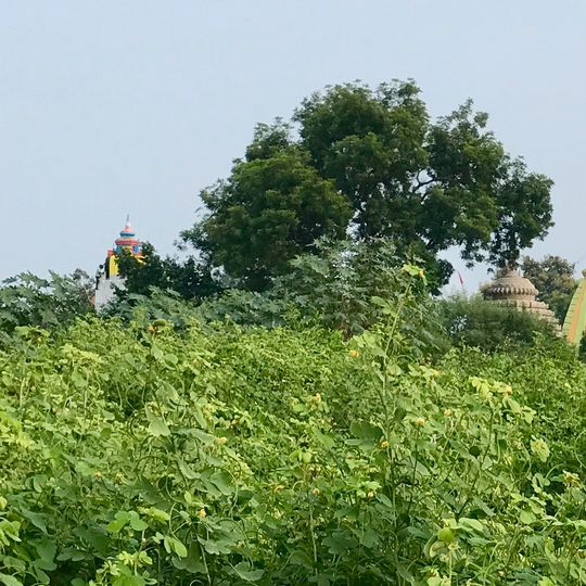 Sirpur