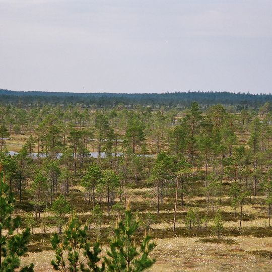 Parco nazionale di Kauhaneva-Pohjankangas
