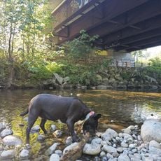 Ruby Cove