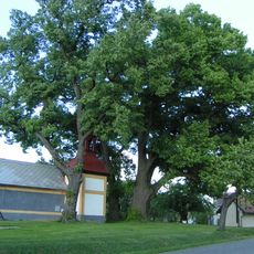 Lípy malolisté ve středu návsi v Březince pod Bezdězem