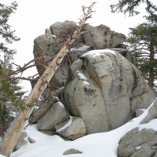 Parc d'État de Mount San Jacinto