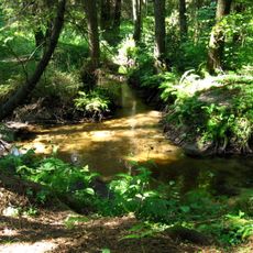 Nature reserve Kulikówka