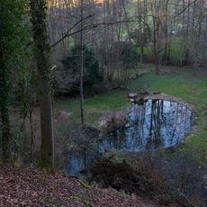 Sumpfgebiet am Haldenbach
