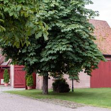 Stall in Röthenbach b.Sankt Wolfgang