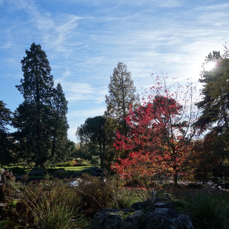 Jardim Botânico da Universidade de Cambridge