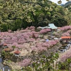 一心寺 (大分市)