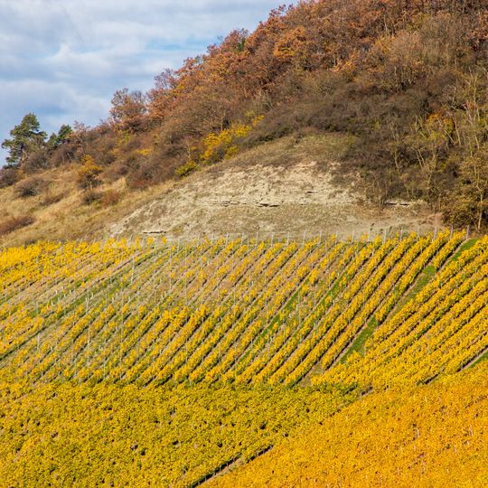 Vorderer Steigerwald mit Schwanberg