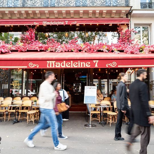 Madeleine 7