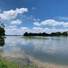 Bachman Lake