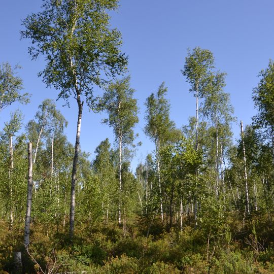 Barvenkove zoological preserve