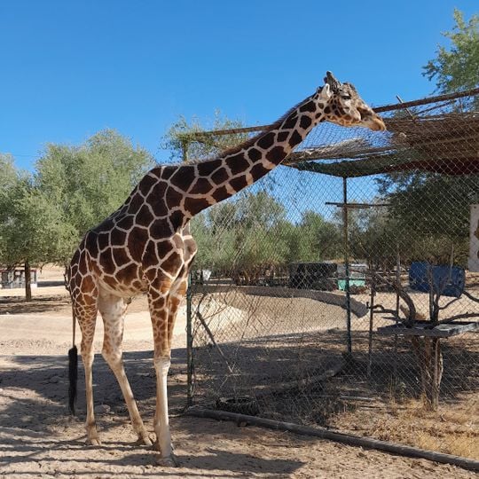 Centro Ecológico de Sonora
