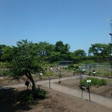 富山大学薬学部附属薬用植物園