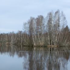 Pfrunger Ried - Rinkenburg