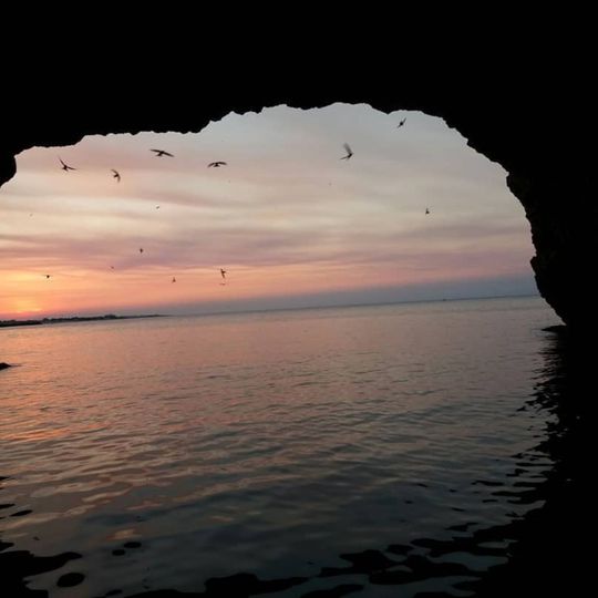Grotta delle rondinelle