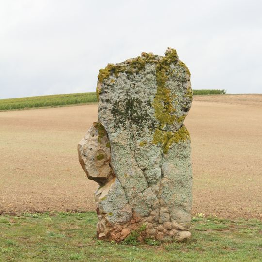 Menhir de l'étang de Chénevry