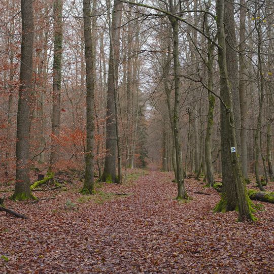 Köllertaler Wald, Bietschieder Bachtal