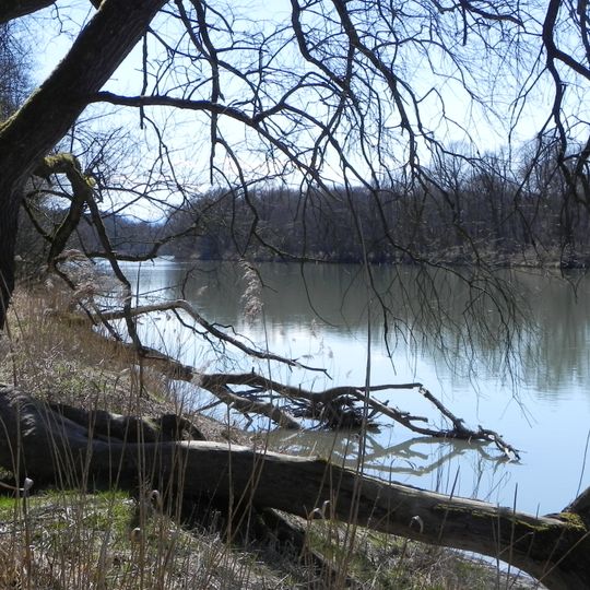 NSG 'Vogelfreistätte Innstausee bei Attel und Freiham'