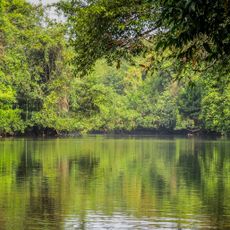 Konni Forest Division