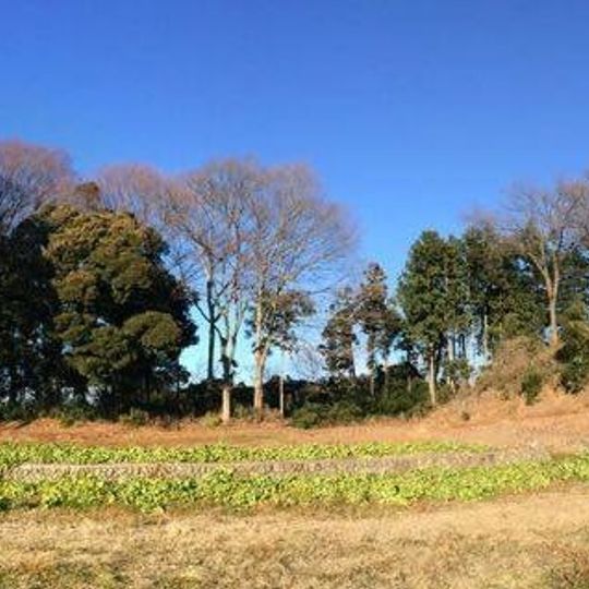 Fujimoto Kannonyama Kofun