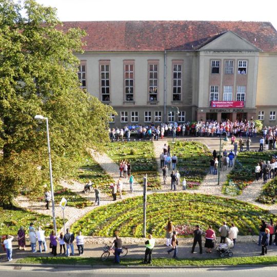 Rosskastanie am Kulturhaus Plessa