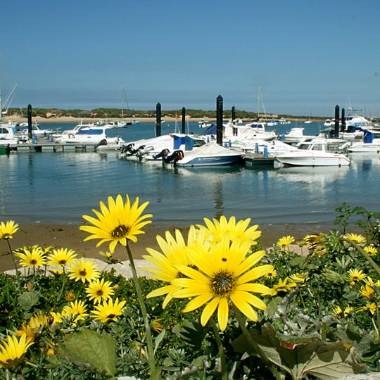 Puerto Deportivo Sancti Petri