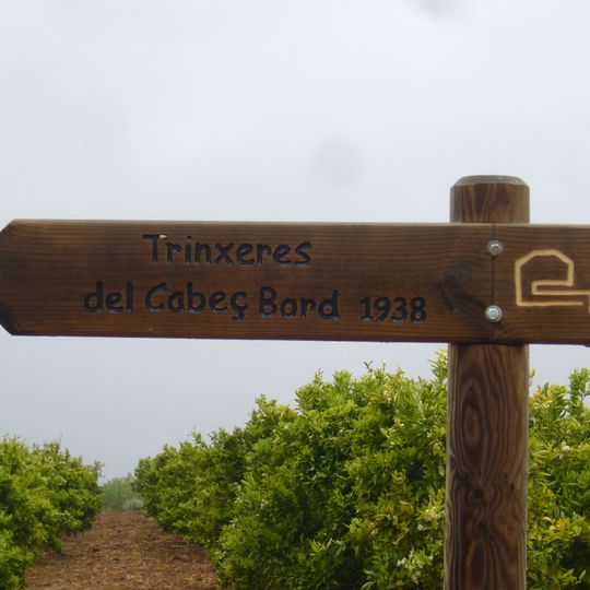 Línia Immediata a València